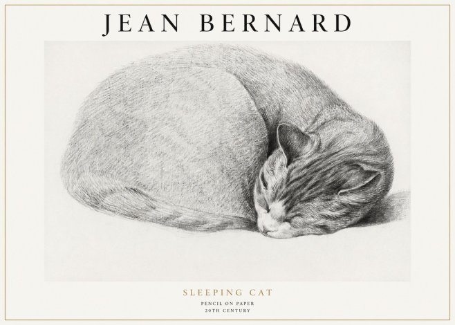 Jean Bernard Sleeping Cat IX No1 - Plakát