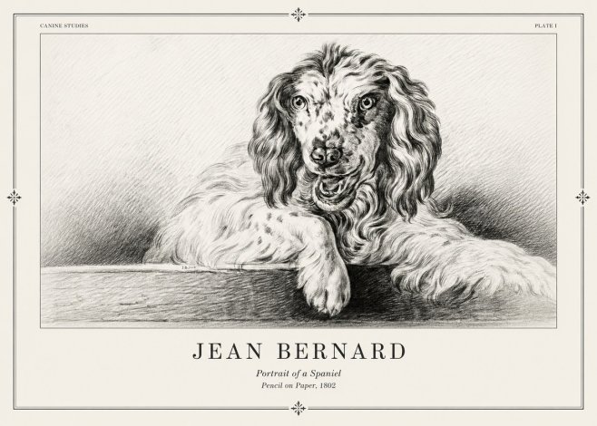 Jean Bernard Portrait of a Spaniel No2 - Plakát