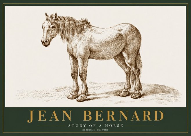 Jean Bernard Study of a Horse XIV No2 - Plakát