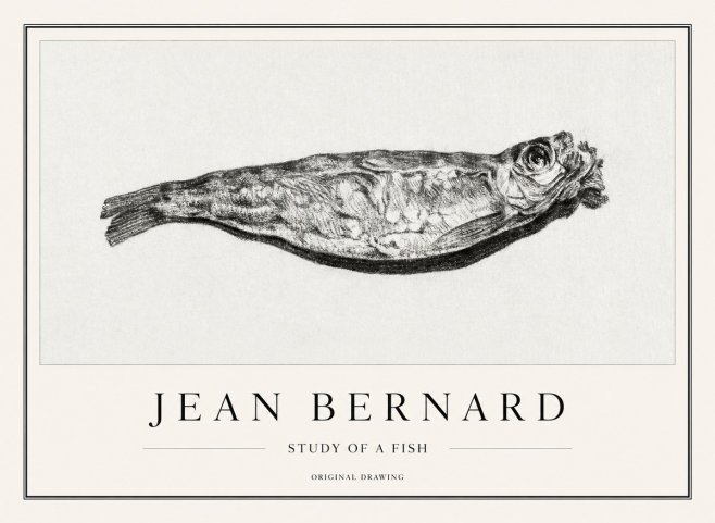 Jean Bernard Study of a Fish V No1 - Plakát