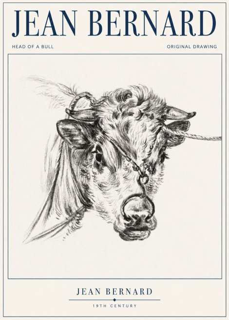 Jean Bernard Head of a Bull No1 - Plakát