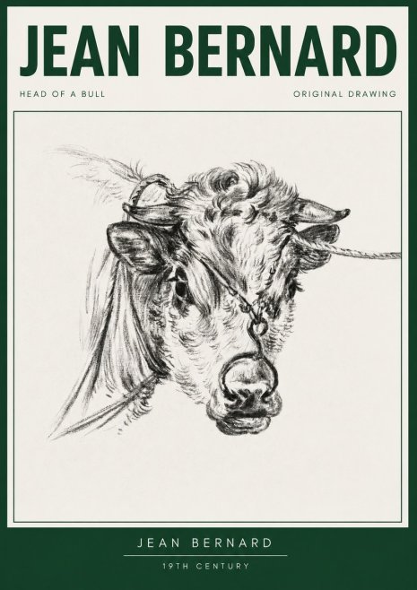 Jean Bernard Head of a Bull No3 - Plakát