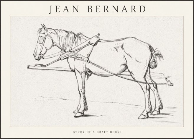 Jean Bernard Study of a Draft Horse II No1 - Plakát