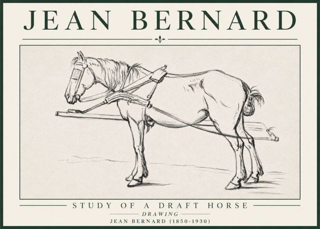 Jean Bernard Study of a Draft Horse II No4 - Plakát