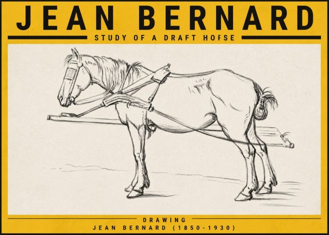 Jean Bernard Study of a Draft Horse II No5 - Plakát