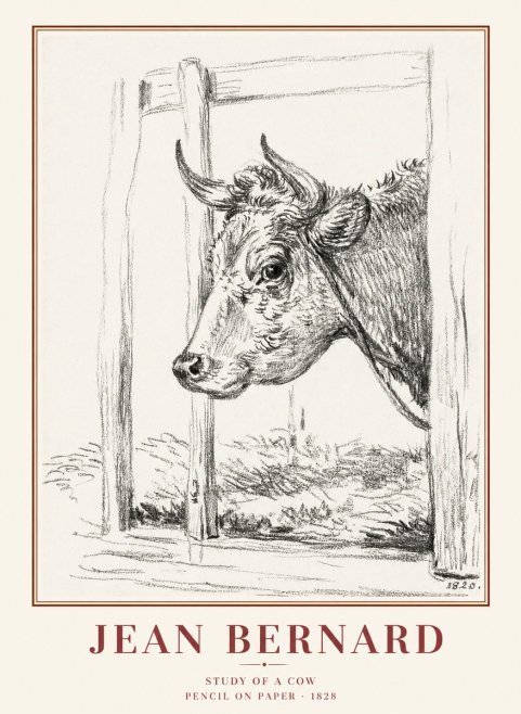 Jean Bernard Study of a Cow XVIII No1 - Plakát