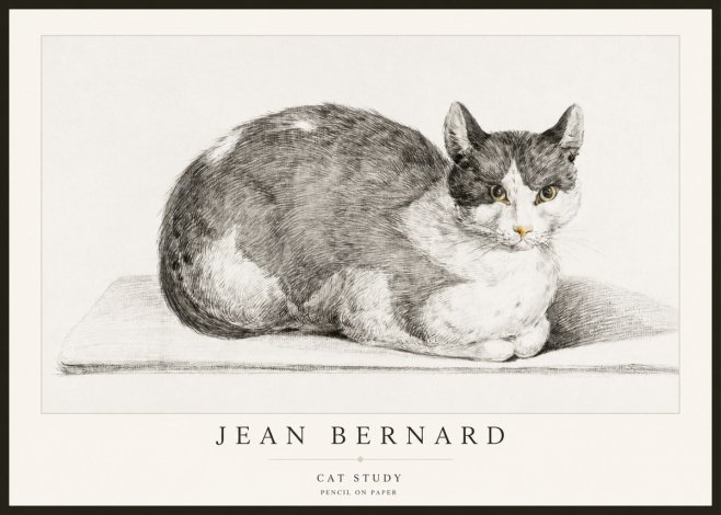Jean Bernard Cat Study XI No2 - Plakát