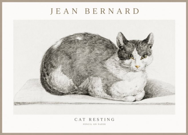 Jean Bernard Cat Study XI No3 - Plakát