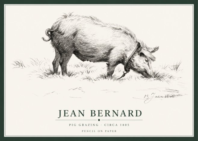 Jean Bernard Pig Grazing No1 - Plakát
