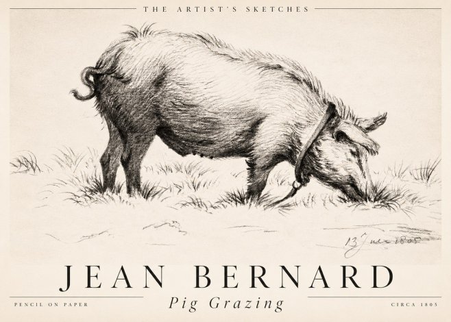 Jean Bernard Pig Grazing No2 - Plakát