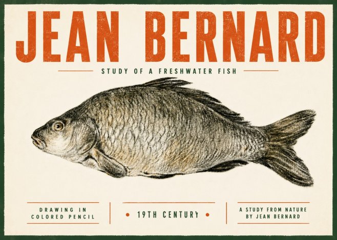 Jean Bernard Study of a Freshwater Fish No5 - Plakát