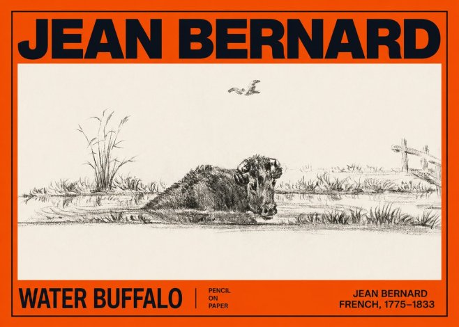 Jean Bernard Study of a Water Buffalo No3 - Plakát