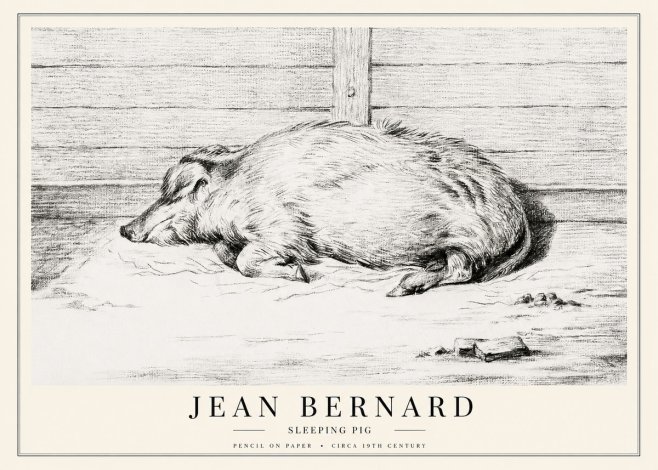 Jean Bernard Sleeping Pig I No1 - Plakát