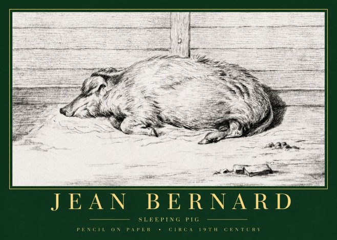 Jean Bernard Sleeping Pig I No3 - Plakát