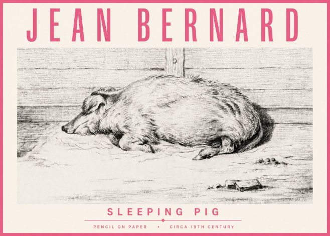 Jean Bernard Sleeping Pig I No4 - Plakát