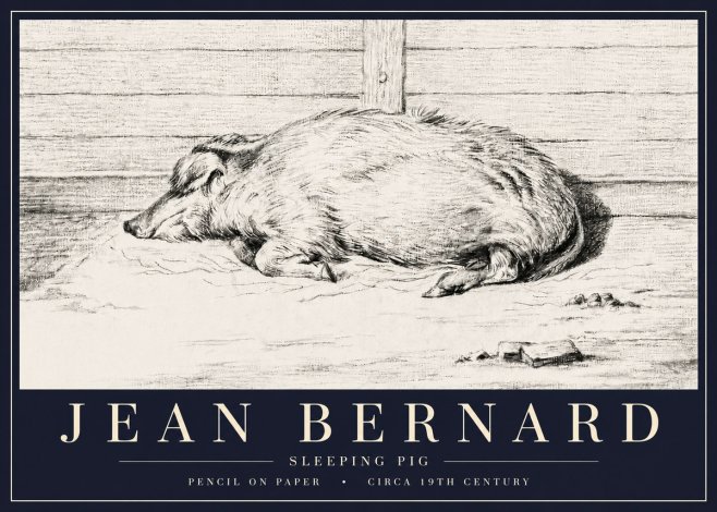 Jean Bernard Sleeping Pig I No6 - Plakát