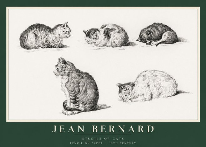 Jean Bernard Studies of Cats No1 - Plakát