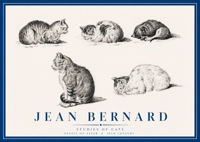 Jean Bernard Studies of Cats No3 - Plakát