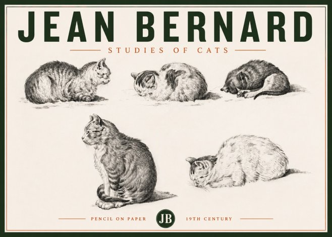 Jean Bernard Studies of Cats No4 - Plakát