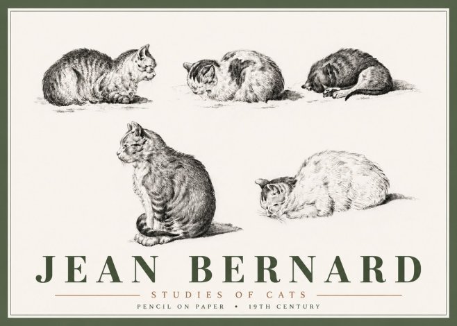 Jean Bernard Studies of Cats No6 - Plakát