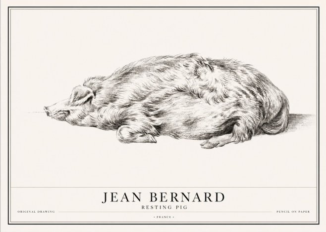 Jean Bernard Resting Pig II No1 - Plakát