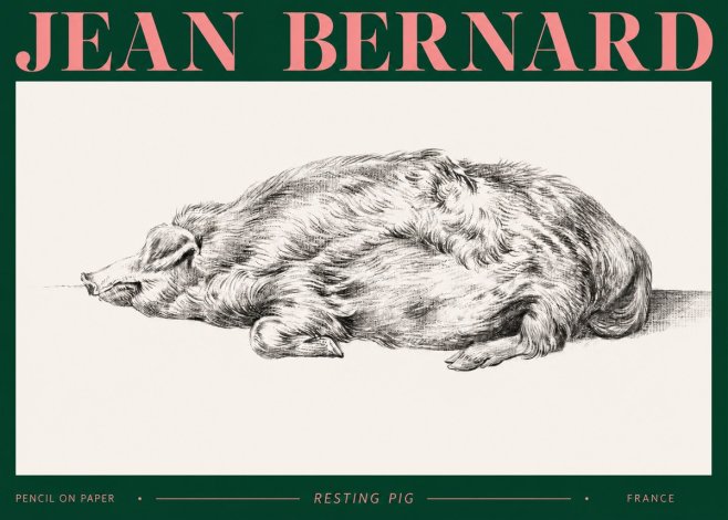 Jean Bernard Resting Pig II No2 - Plakát