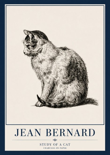 Jean Bernard Study of a Cat IV No3 - Plakát
