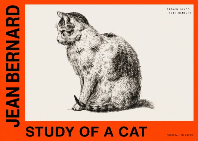 Jean Bernard Study of a Cat IV No6 - Plakát