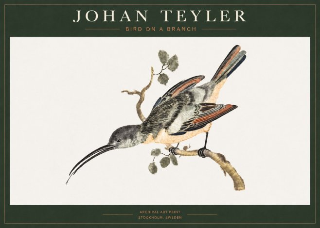 Johan Teyler Bird on a Branch No1 - Plakát