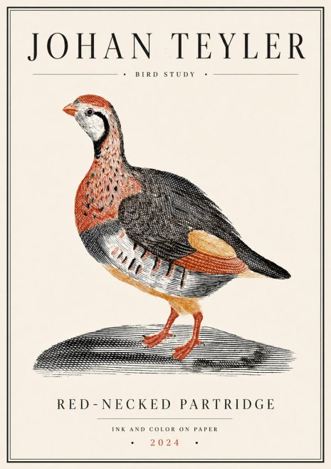 Johan Teyler Red-necked Partridge No6 - Plakát