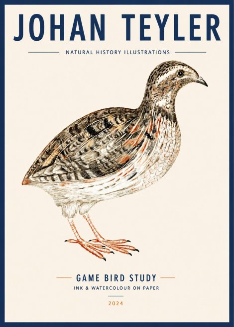 Johan Teyler Game Bird Study No3 - Plakát