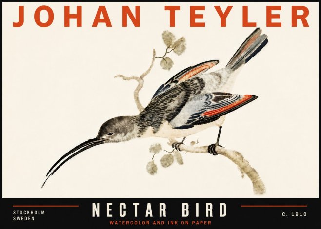 Johan Teyler Nectar Bird No6 - Plakát