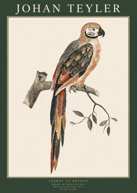 Johan Teyler Parrot on Branch No1 - Plakát