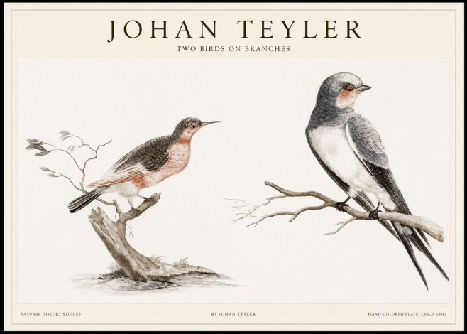 Johan Teyler Two Birds on Branches No1 - Plakát