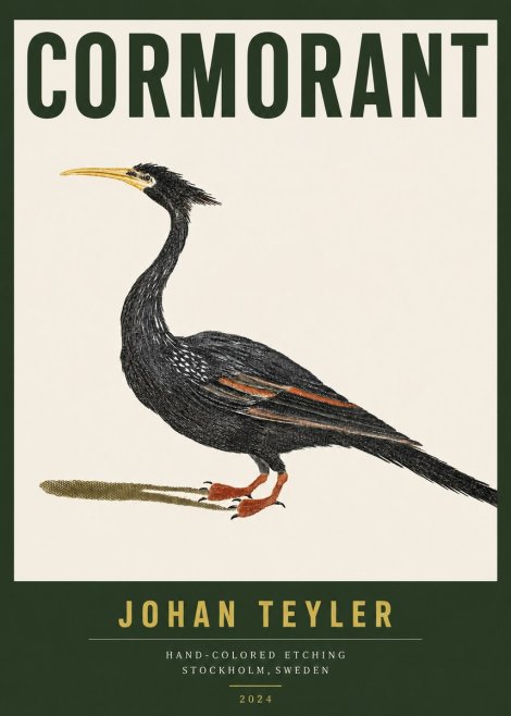 Johan Teyler Cormorant No3 - Plakát