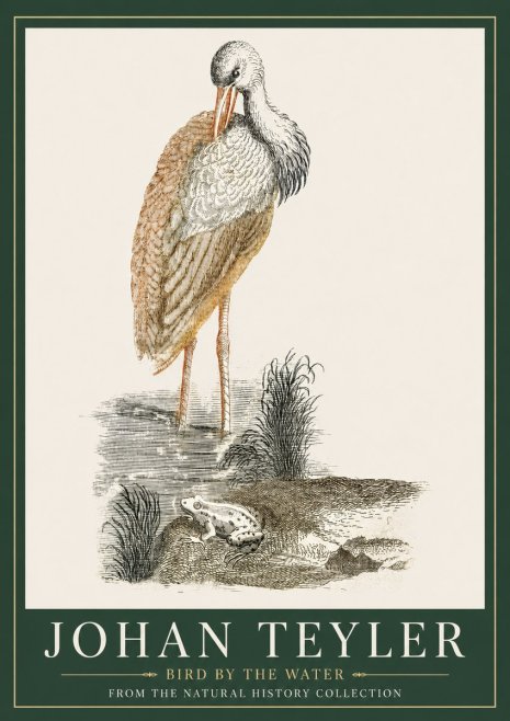 Johan Teyler Bird by the Water No3 - Plakát