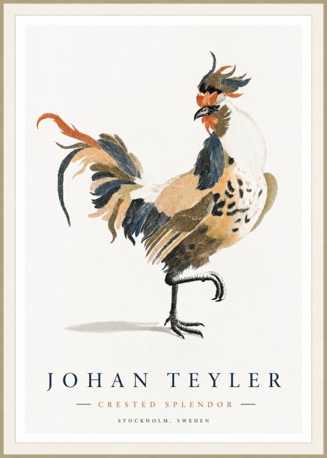 Johan Teyler Crested Splendor No1 - Plakát