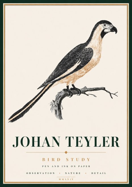 Johan Teyler Bird Study I No6 - Plakát