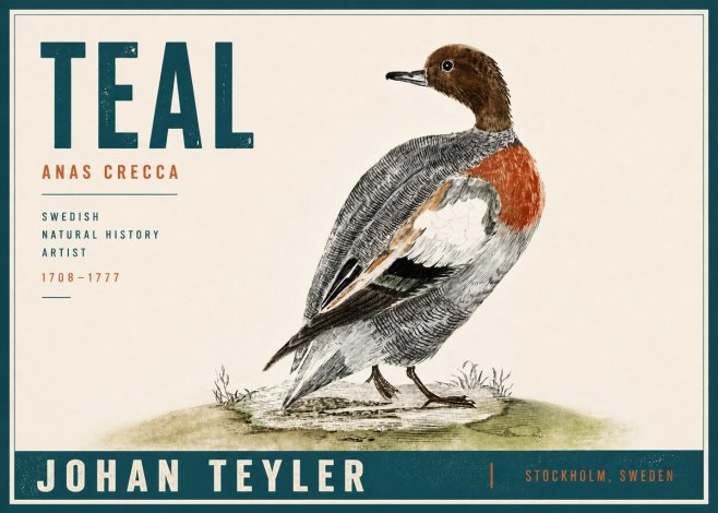 Johan Teyler Teal No5 - Plakát