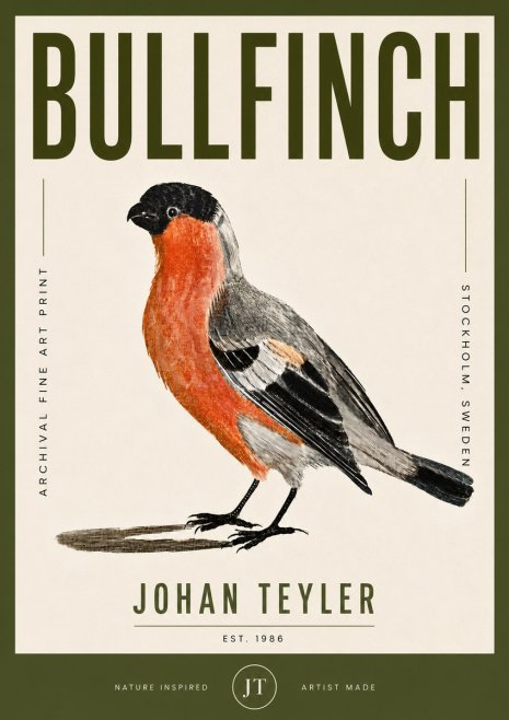 Johan Teyler Bullfinch No5 - Plakát