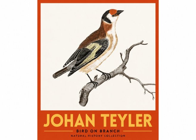 Johan Teyler Song of the Finch No3 - Plakát
