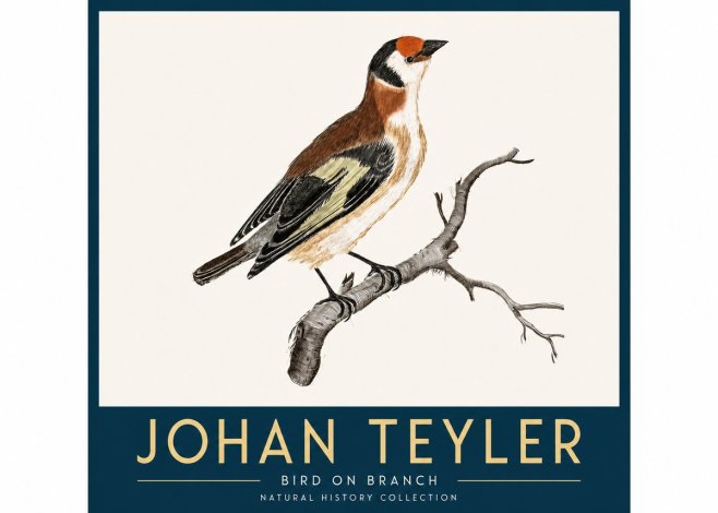 Johan Teyler Song of the Finch No4 - Plakát