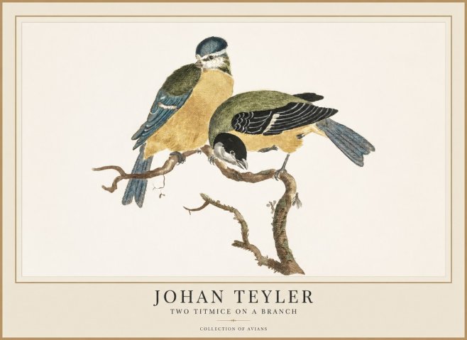 Johan Teyler Two Titmice on a Branch No1 - Plakát