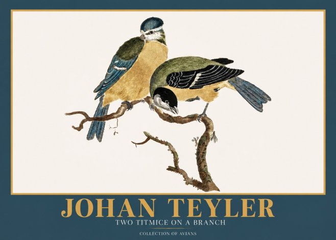 Johan Teyler Two Titmice on a Branch No2 - Plakát