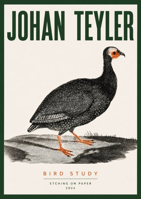 Johan Teyler Bird Study III No3 - Plakát