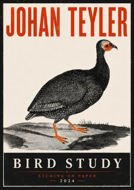 Johan Teyler Bird Study III No6 - Plakát