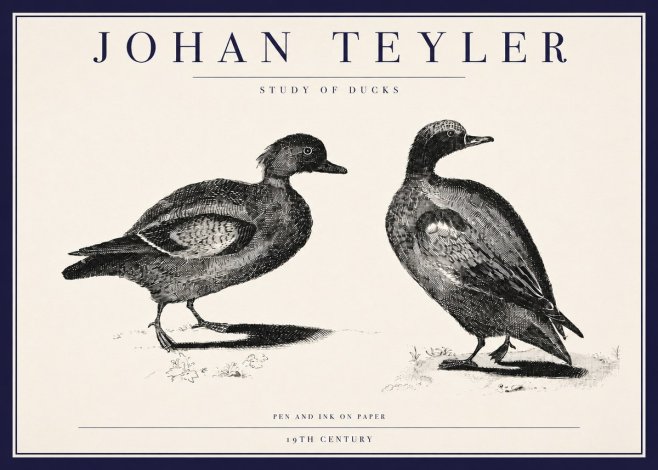Johan Teyler Study of Ducks No3 - Plakát