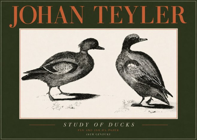 Johan Teyler Study of Ducks No4 - Plakát