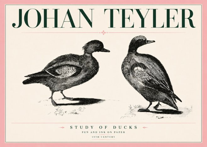 Johan Teyler Study of Ducks No5 - Plakát