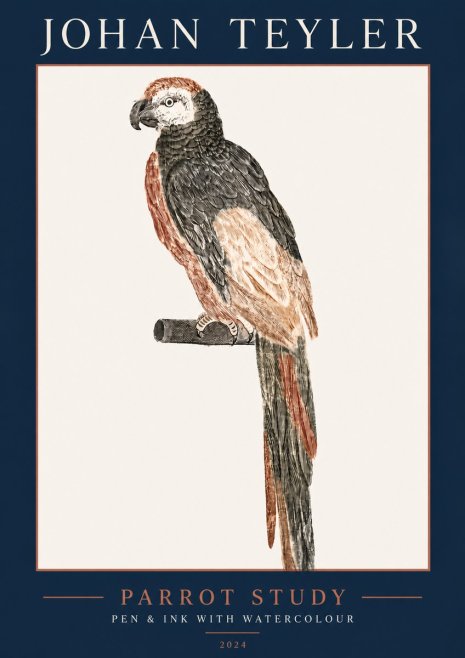 Johan Teyler Parrot Study II No5 - Plakát